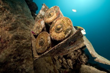 Ammunition around the Thistlegorm. clipart