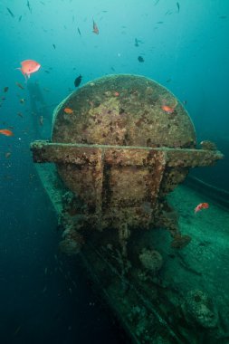 Kargo thistlegorm batık.