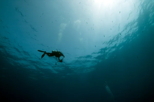 Fotógrafo mergulhador e oceano — Fotografia de Stock