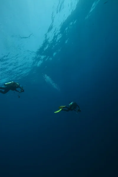 Potápěč fotograf a oceán — Stock fotografie