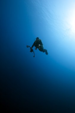 mavi okyanusun ortasında bir sualtı fotoğrafçısı.