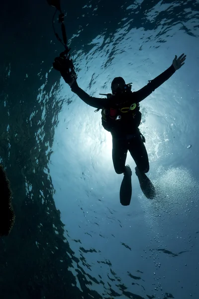 Silhouette di un fotografo subacqueo — Foto Stock