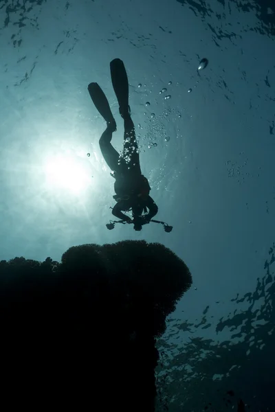 Silhouette of an underwater photographer — Stock Photo, Image