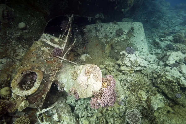 击毁德国货轮 kormoran-在 1984年蒂朗下沉了 — 图库照片