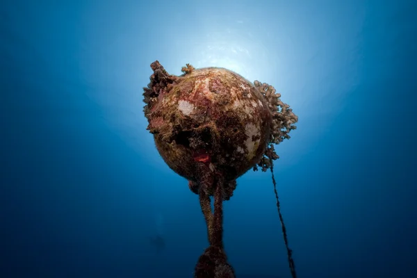 Underwater buoy with coral — Stock Photo, Image
