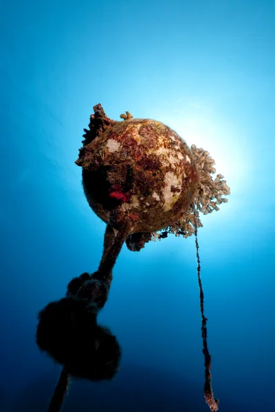 水下浮标与珊瑚 — 图库照片