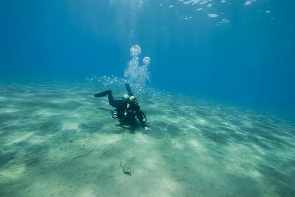 Fotografo subacqueo e oceano — Foto Stock