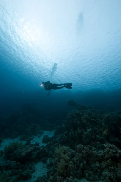 Mergulhador e oceano — Fotografia de Stock