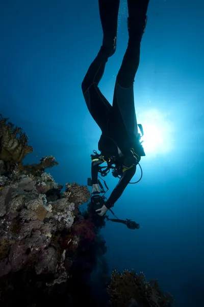 Fotógrafo subaquático — Fotografia de Stock
