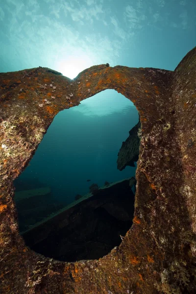 Overblijfselen van de kormoran schipbreuk en prachtige koraal groei — Stockfoto