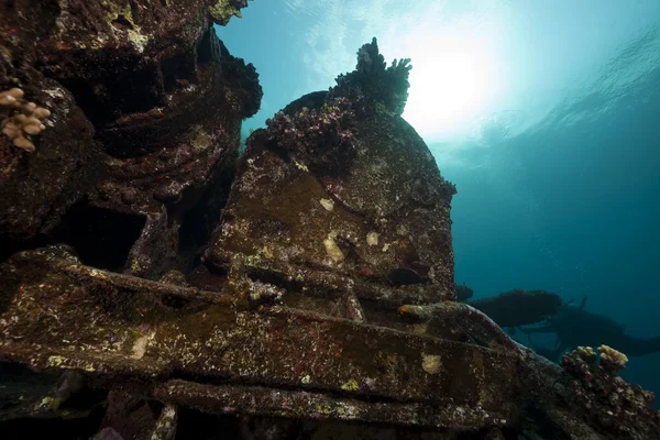 Resterna av kormoran skeppsbrott och vackra koraller tillväxt — Stockfoto