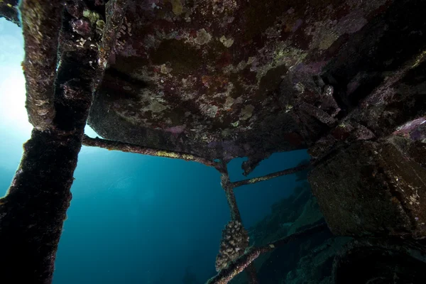 Kormoran 沉船和美丽的珊瑚生长的遗迹 — 图库照片