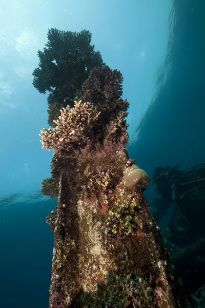 Remains of the Kormoran shipwreck and beautiful coral growth — Stock Photo, Image