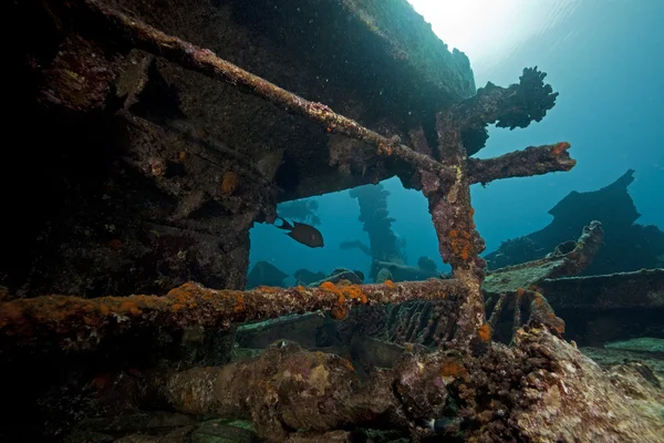 Остатки кораблекрушения "Корморана" и прекрасный коралловый рост — стоковое фото