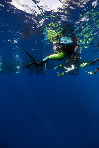 Divers at the surface — Stock Photo, Image