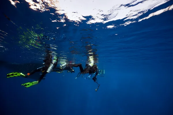 Mergulhadores na superfície — Fotografia de Stock