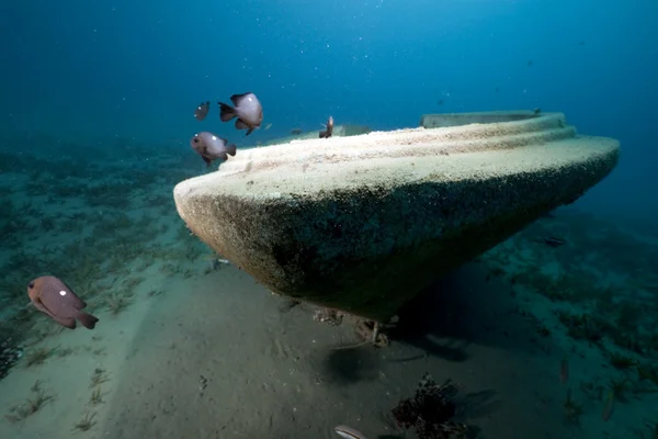 Schnellboot-Wrack, Fische und Ozean — Stockfoto