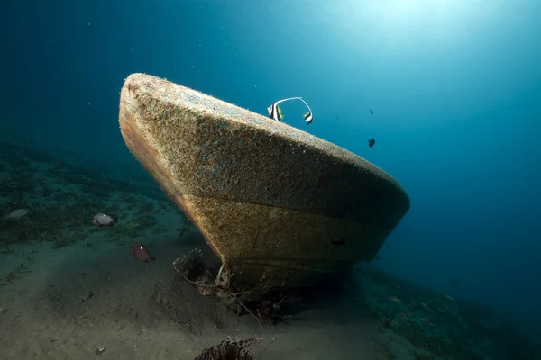Speedboat wreck, fish and ocean — Stock Photo, Image