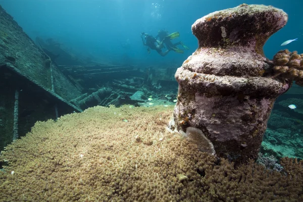 Kormoran batık ve dalgıçlar alanı keşfetmek kalıntıları Telifsiz Stok Imajlar
