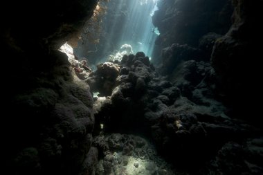 Underwater cave and sunrays in the Red Sea. clipart