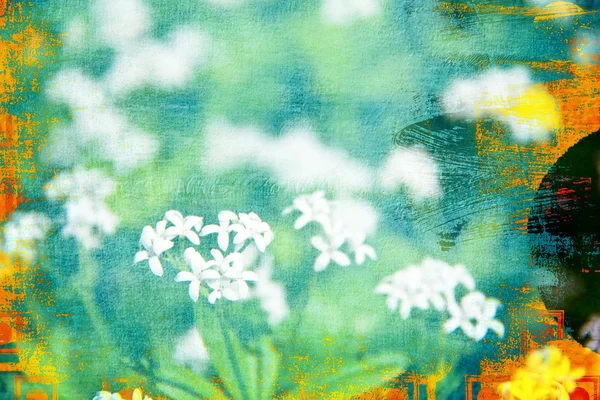 추상 흰 꽃 배경 로열티 프리 스톡 사진