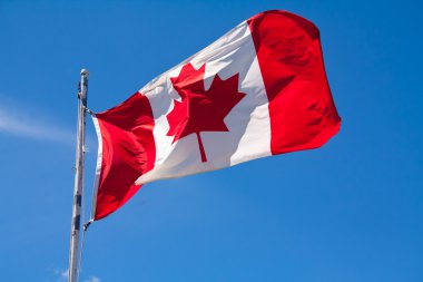 Картина, постер, плакат, фотообои "флаг канады", артикул 11092917