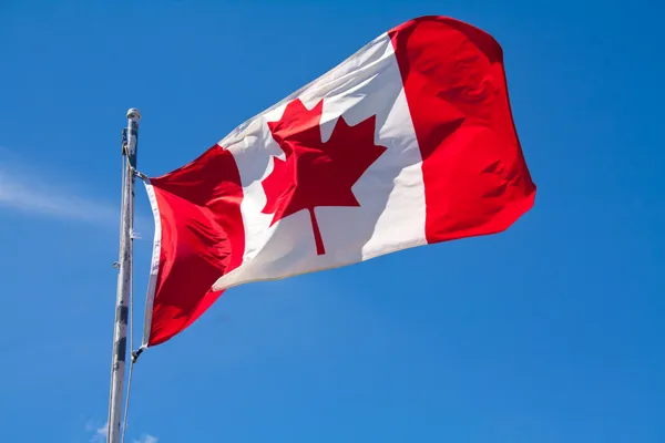 Kanadská vlajka Royalty Free Stock Fotografie