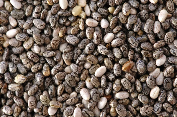 Chia semen — Stock fotografie