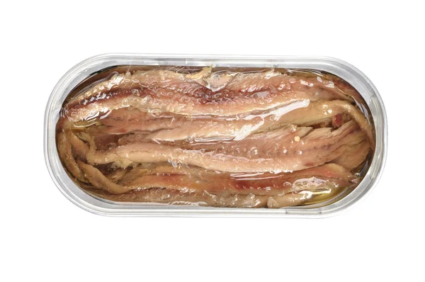 Canned anchovies — Stock Photo, Image