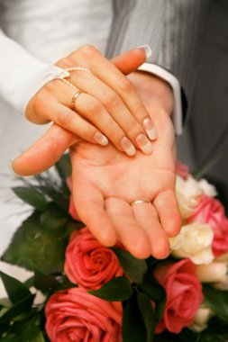 Hands of newly-married clipart