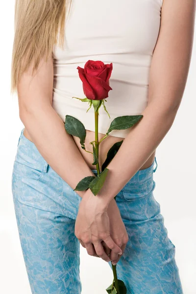 Róża w ręce — Zdjęcie stockowe