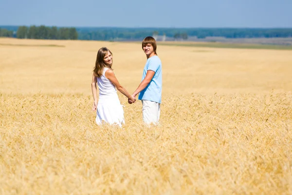 V pšeničné pole — Stock fotografie