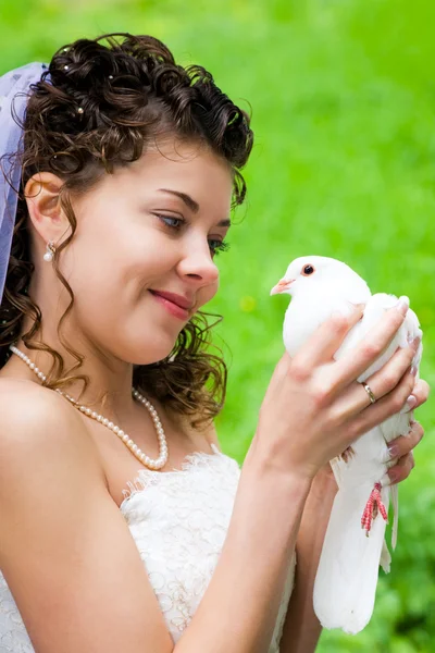 Bride with dove — Stock Photo, Image