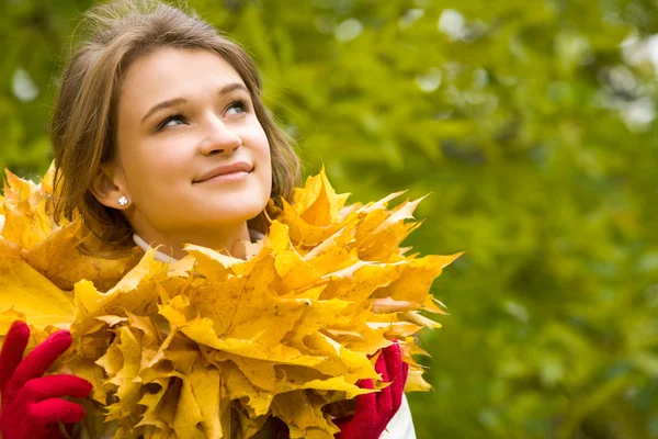 Belleza de otoño —  Fotos de Stock