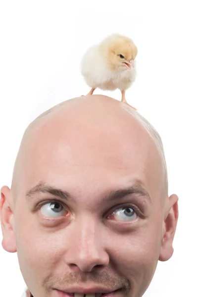 Baby bird on head — Stock Photo, Image