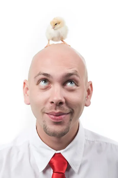 Chick on head Royalty Free Stock Images