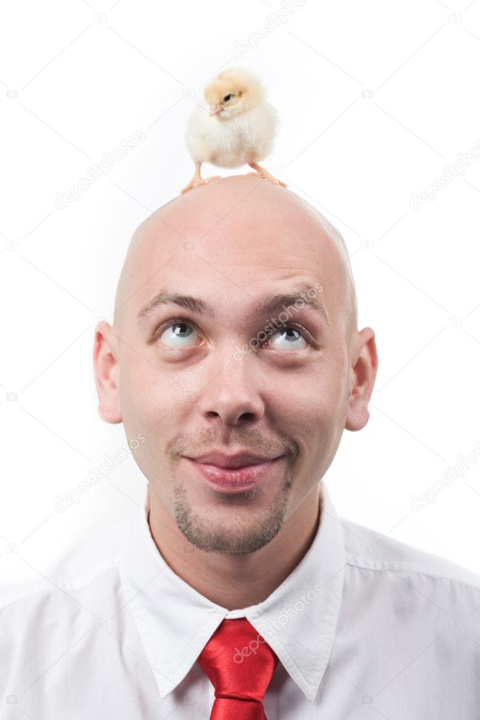 Chick on head