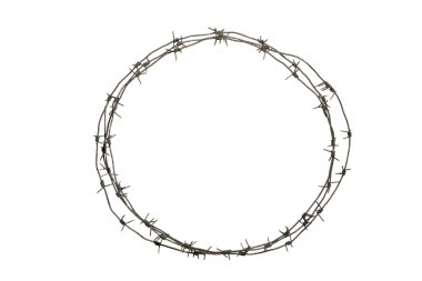 Crown of thorns clipart