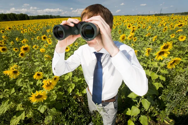 Searching for success — Stock Photo, Image