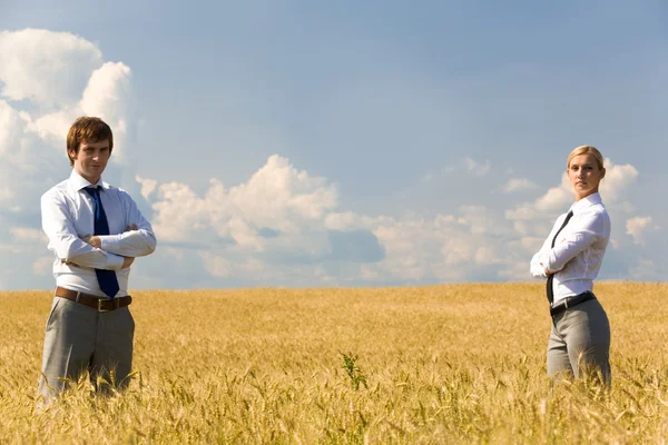 In the wheat field — Stock Photo, Image