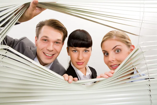 Co-workers in office — Stock Photo, Image