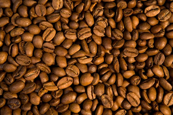 Koffie Achtergrond — Stockfoto