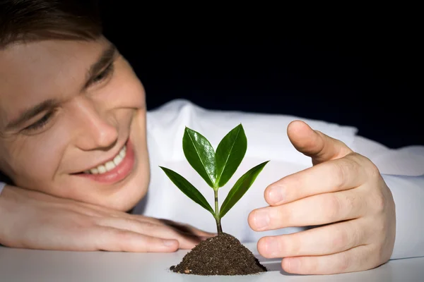 Cultivation of plant — Stock Photo, Image