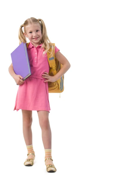 Smart schoolgirl — Stock Photo, Image