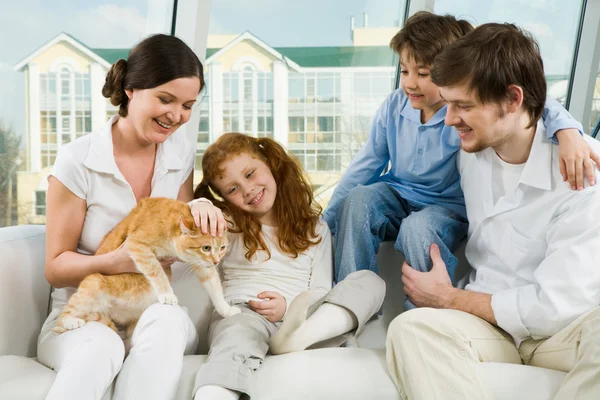 Attention to cat — Stock Photo, Image