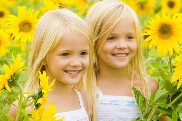 Sonnenblumenglück — Stockfoto