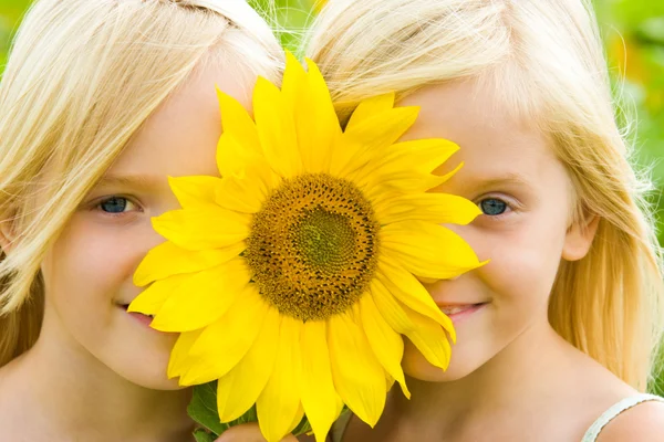 Sunflower children — Stock Photo, Image