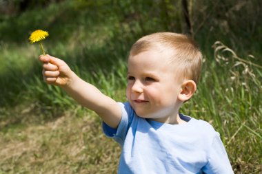 Dandelion present clipart