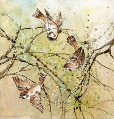 Three sparrows clipart