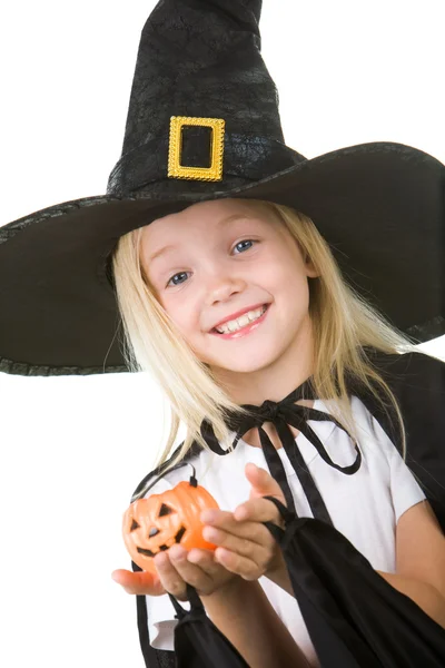 Halloween theme — Stock Photo, Image